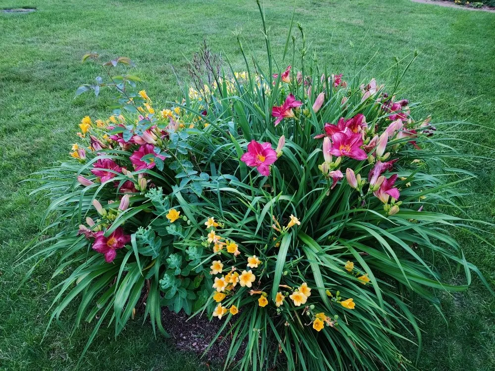 Top-rated landscaping services for residential properties across Barnstable, MA - Browns Landscaping and Property Management