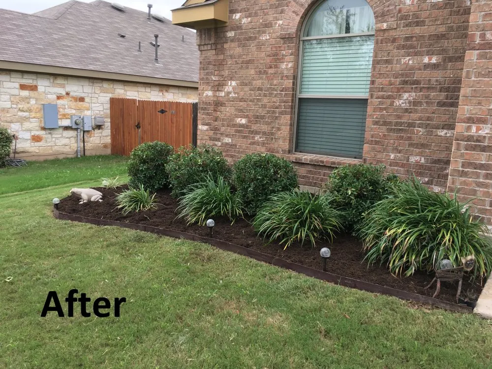 Expert yard maintenance in Buda, TX by Brown's Landscaping