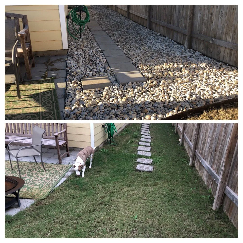 Affordable lawn care service in Buda, TX by Brown's Landscaping