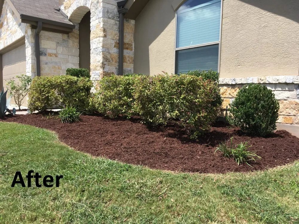 Professional yard maintenance experts serving Buda, TX - Brown's Landscaping