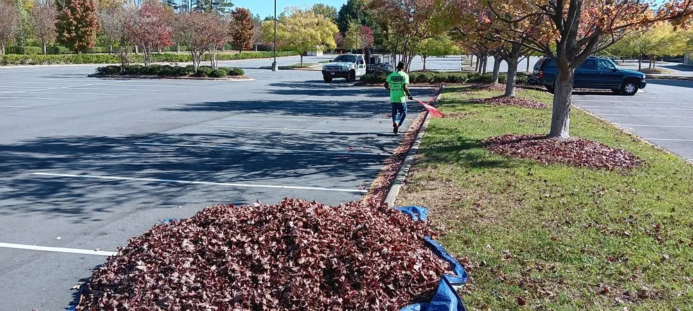 Local landscape design in Dallas, NC - Brown's Landscaping