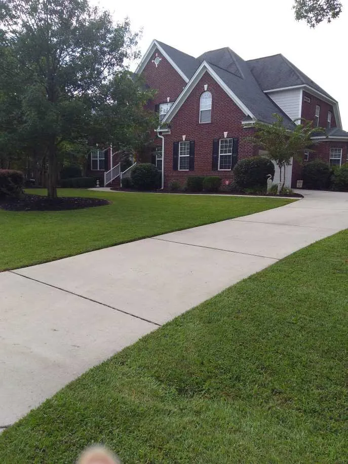 Trusted yard cleanup service in Ridgeway, SC by Brown’s landscaping