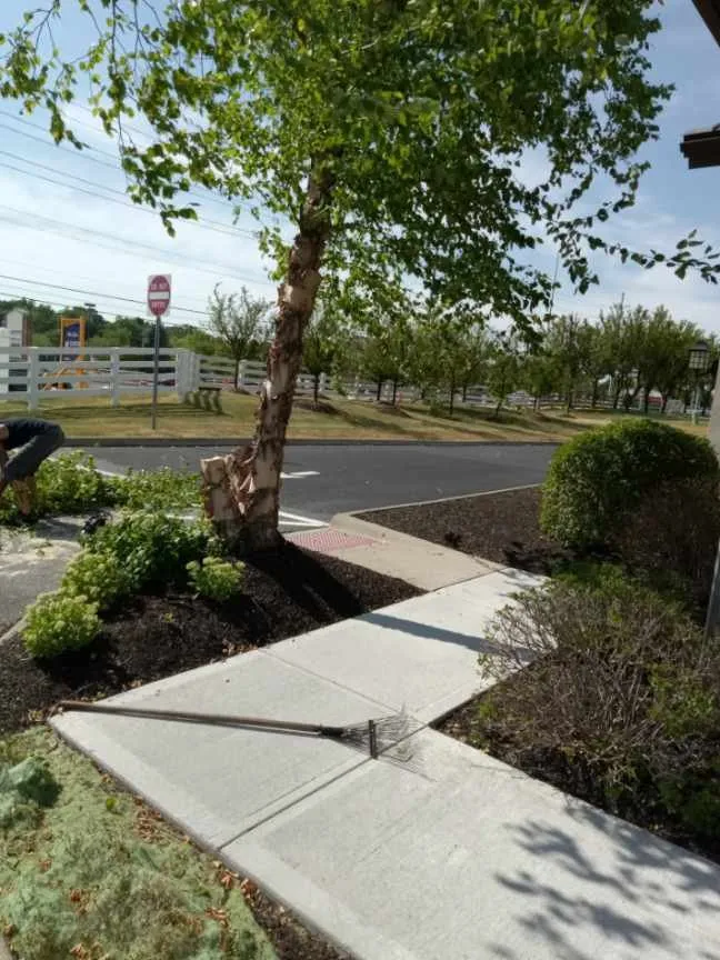 Reliable landscaping services experts serving Springfield, OH - Brown's Lawn and Landscaping