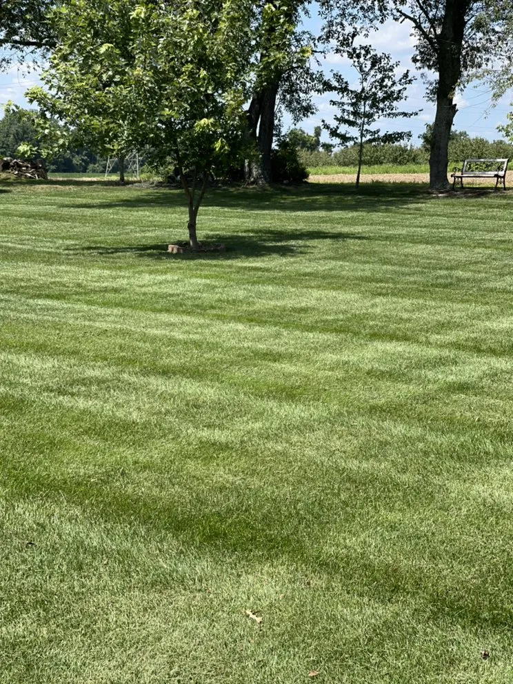 Custom landscape installation for homes in Mullica Hill, NJ by Brown’s Lawn Care & Property Maintenance