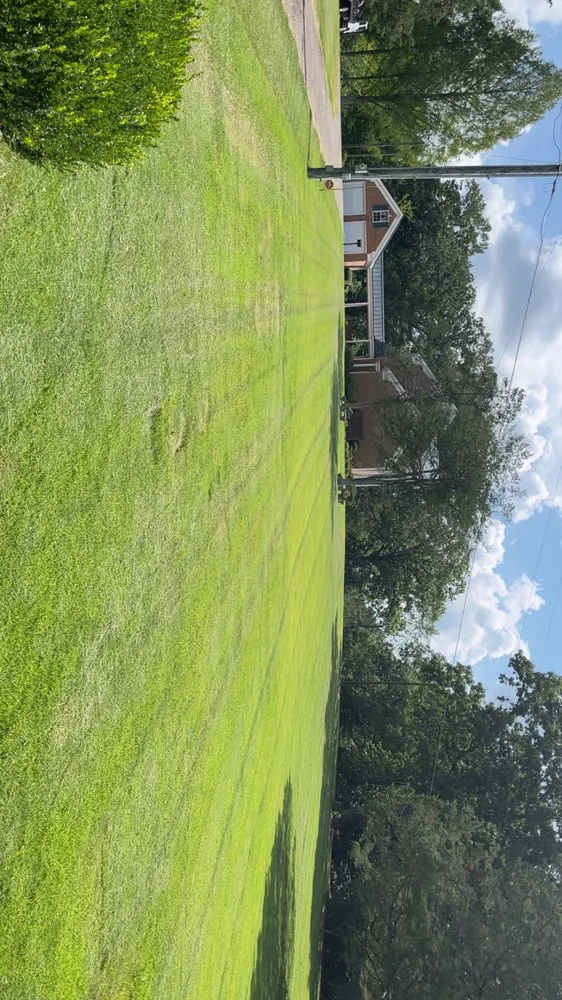 Professional landscape installation for beautiful yards in Adamsville, TN by Brown’s Lawn Care