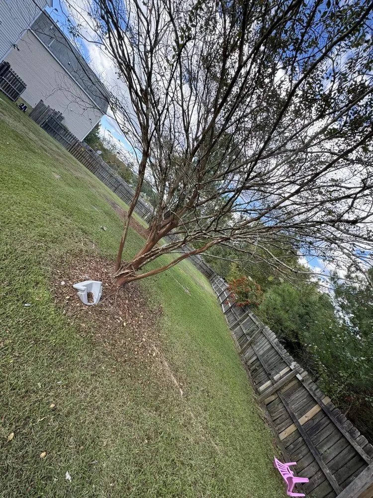 Reliable landscaping services experts serving Columbia, SC - Browns Lawn Care And Landscaping