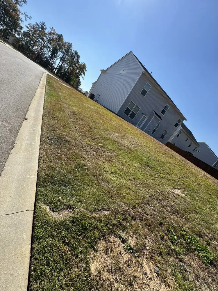 Reliable residential landscaping for residential properties across Columbia, SC - Browns Lawn Care And Landscaping