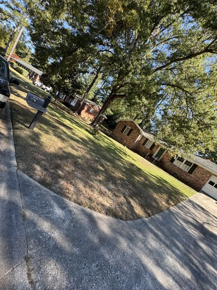 Top-rated yard cleanup service near you across Columbia, SC - Browns Lawn Care And Landscaping