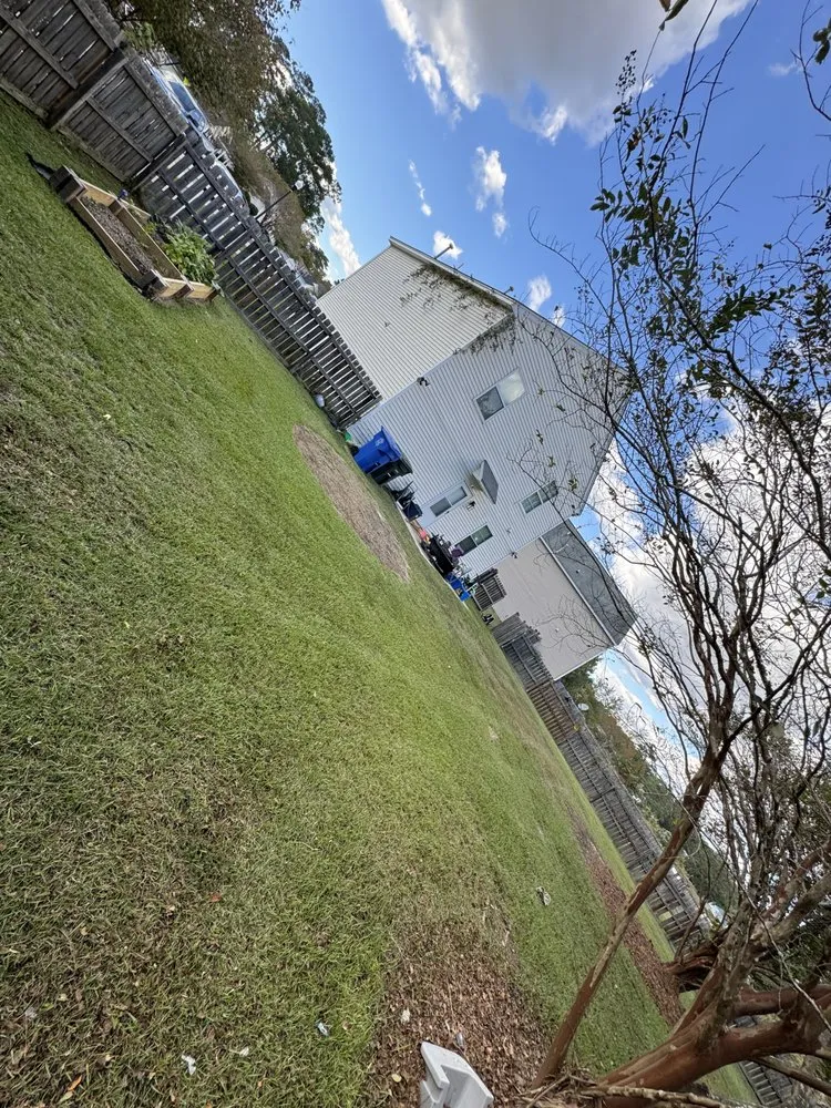 Local yard maintenance for year-round maintenance in Columbia, SC by Browns Lawn Care And Landscaping