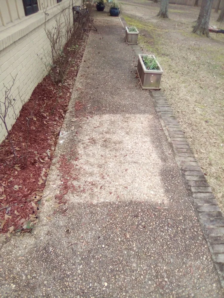 Affordable lawn care service for outdoor upgrades in Mount Olive, MS by Browns Lawn Care And Pressure Washing