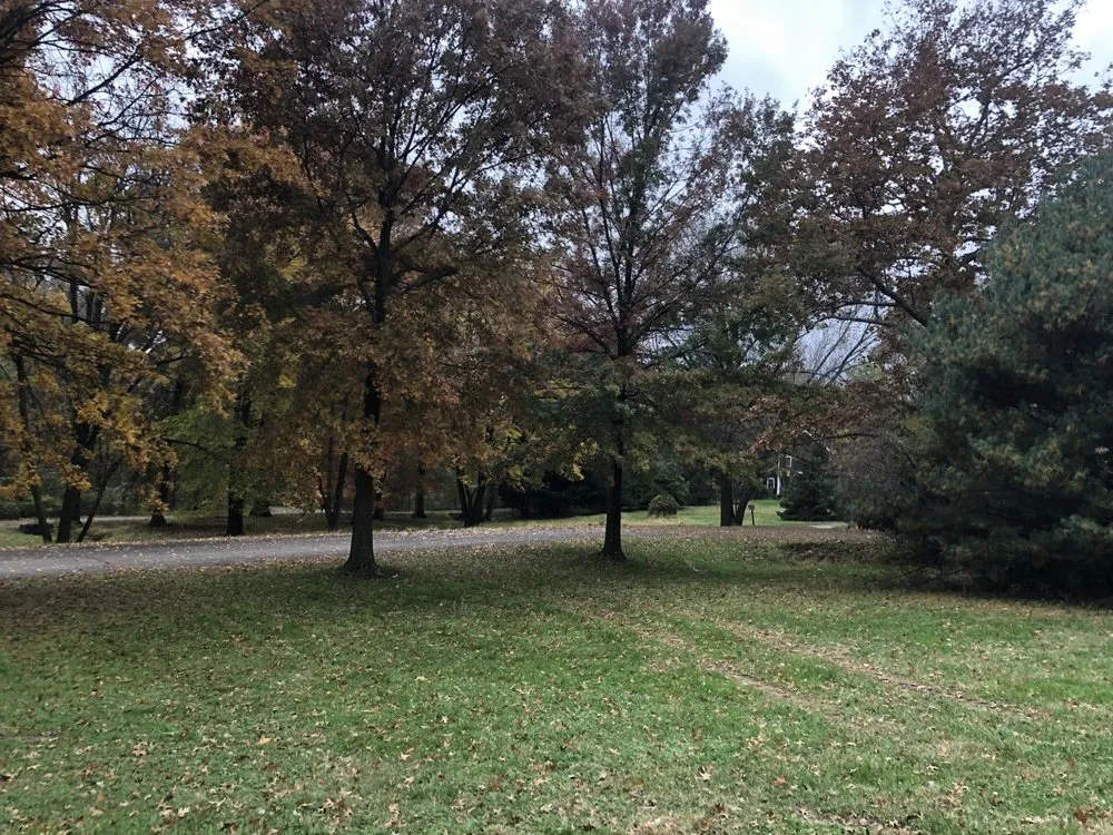 Reliable yard cleanup service in Claymont, DE - Brown’s Lawn Care