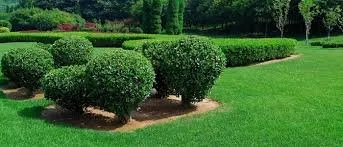 Top-rated residential landscaping with custom design across Collingdale, PA - Brown's Lawn Care