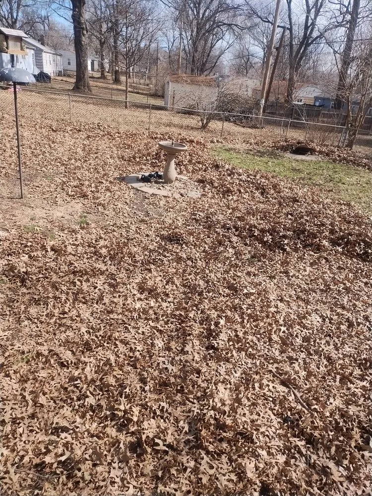 Reliable lawn care service for residential properties in Independence, MO by Browns Lawn Care