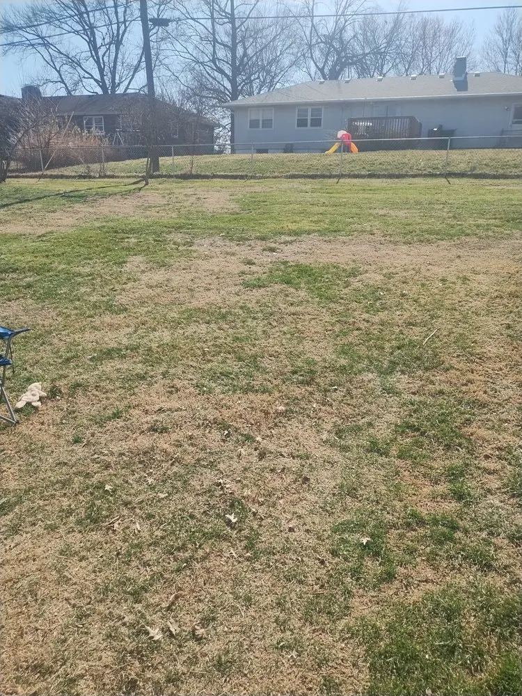 Reliable landscape design in Independence, MO by Browns Lawn Care