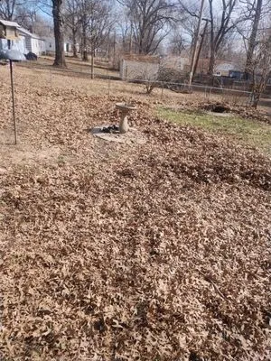 Browns Lawn Care Logo