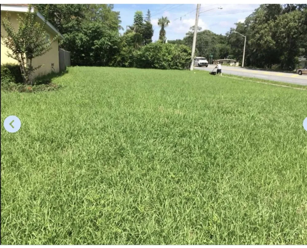 Top-rated landscape installation experts serving Ocala, FL - Browns Lawn Care