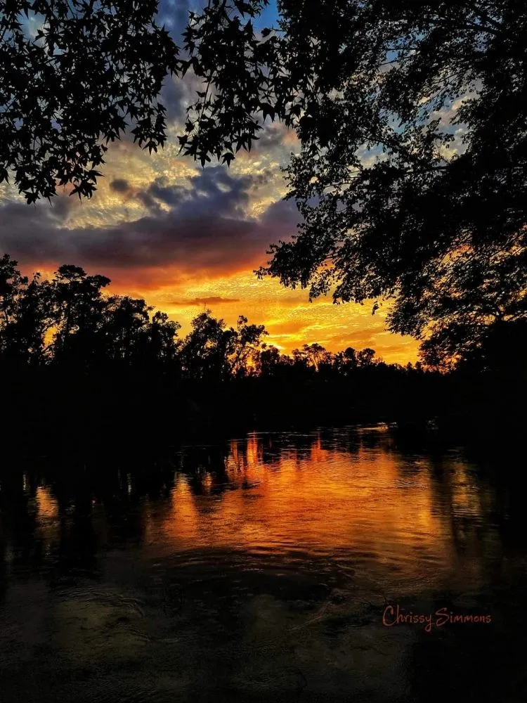 Professional landscaping services in DeFuniak Springs, FL - Brown's Lawn Service