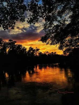 Brown's Lawn Service Logo