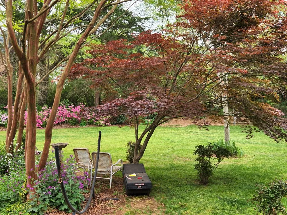 Affordable lawn care service experts serving Roebuck, SC - Browns Lawn Services