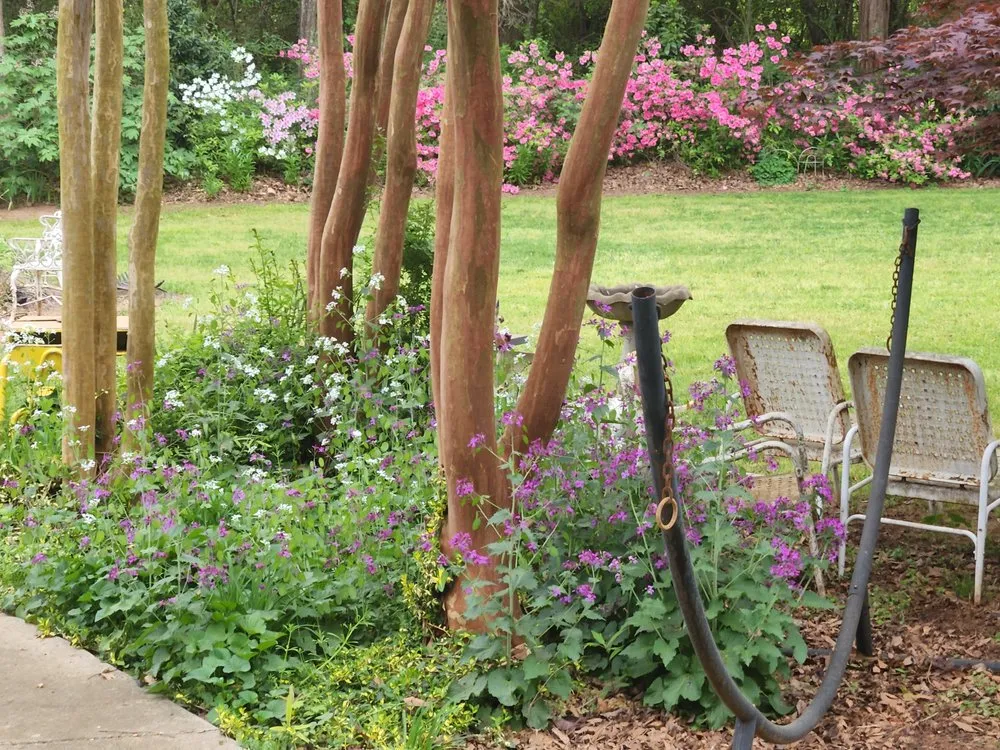 Trusted lawn care service for outdoor upgrades across Roebuck, SC - Browns Lawn Services