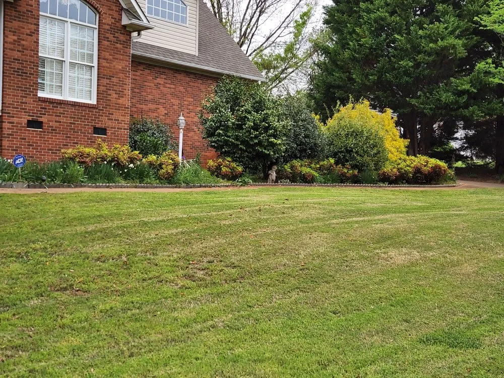 Professional yard cleanup service near you across Roebuck, SC - Browns Lawn Services