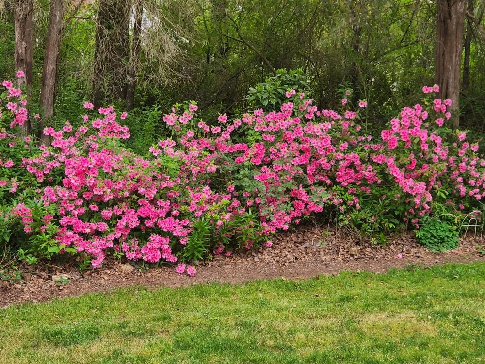 Affordable landscape installation in Roebuck, SC by Browns Lawn Services