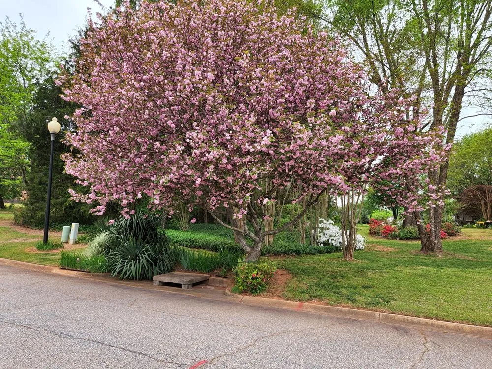 Local landscape design for beautiful yards in Roebuck, SC by Browns Lawn Services