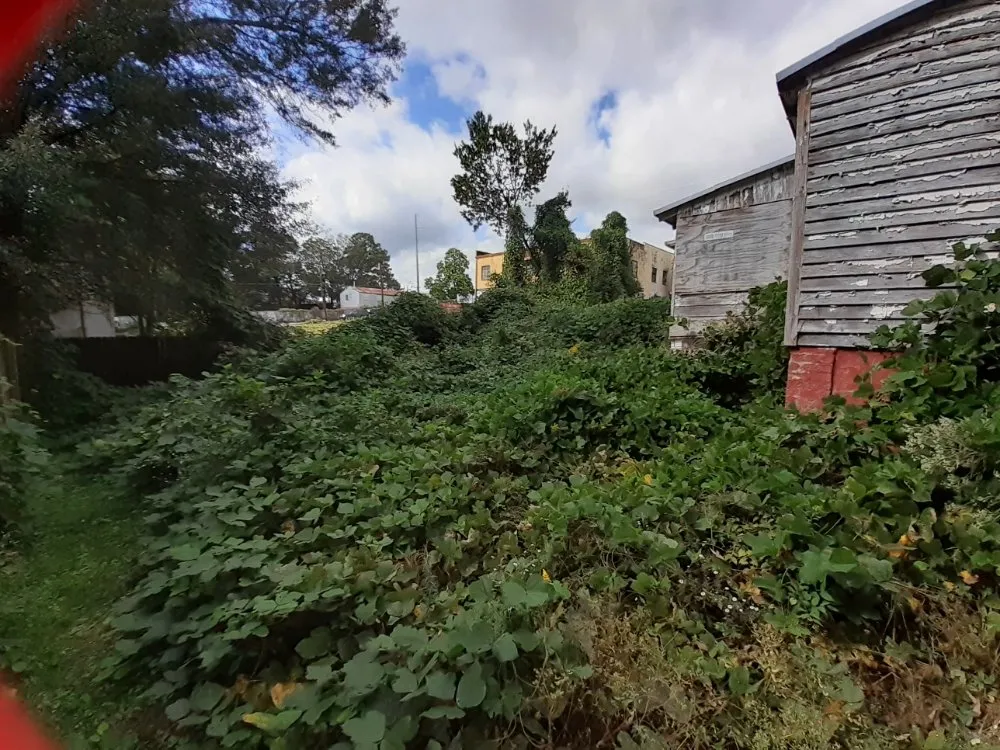 Expert outdoor landscaping for beautiful yards across Covington, GA - Brown's Lawncare and Services