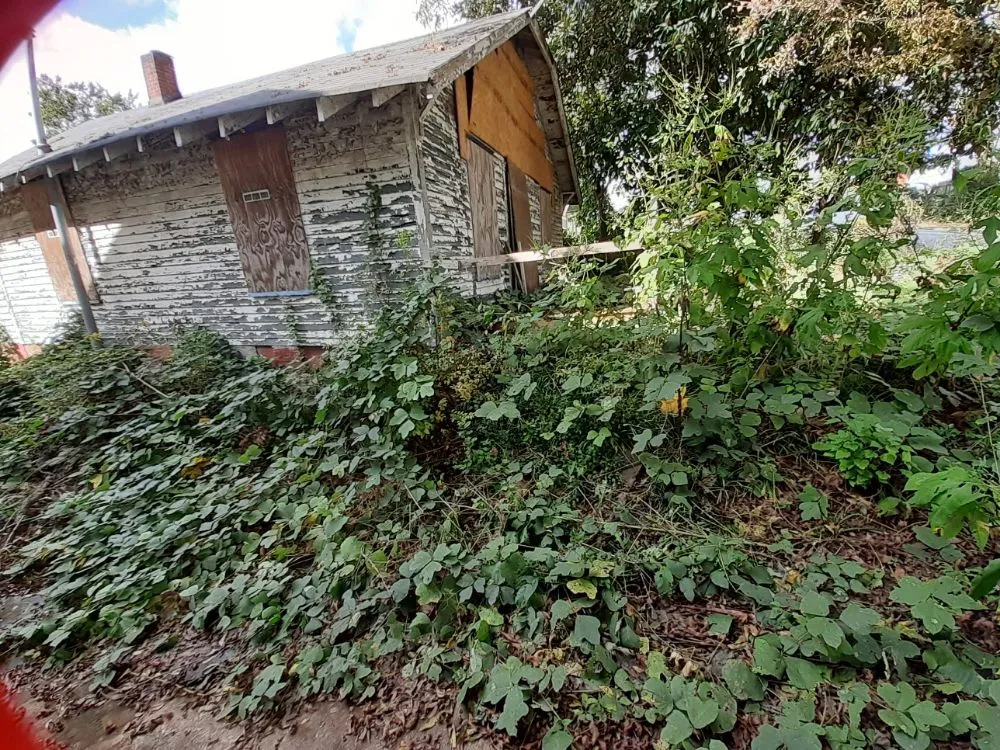 Top-rated landscape installation in Covington, GA by Brown's Lawncare and Services