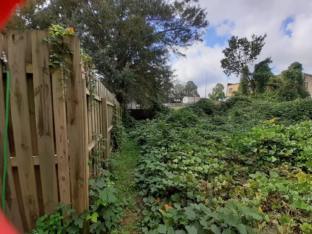 Reliable lawn care service experts serving Covington, GA - Brown's Lawncare and Services