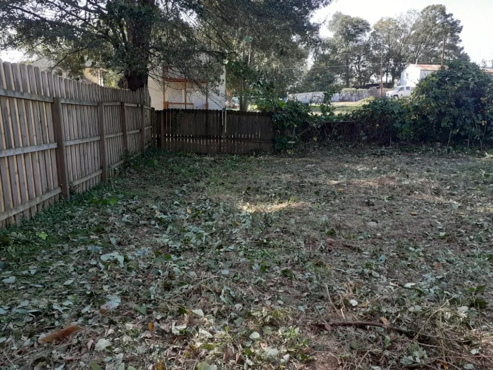 Reliable yard maintenance for residential properties across Covington, GA - Brown's Lawncare and Services