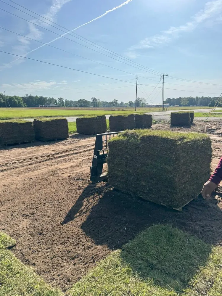 Reliable outdoor landscaping in Aynor, SC - Brown's LawnCare