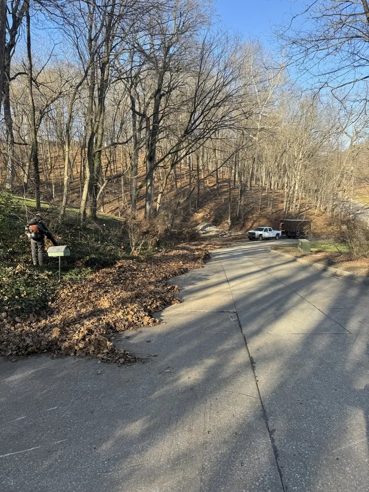 Affordable lawn mowing service in Brighton, IL by Browns Lawncare