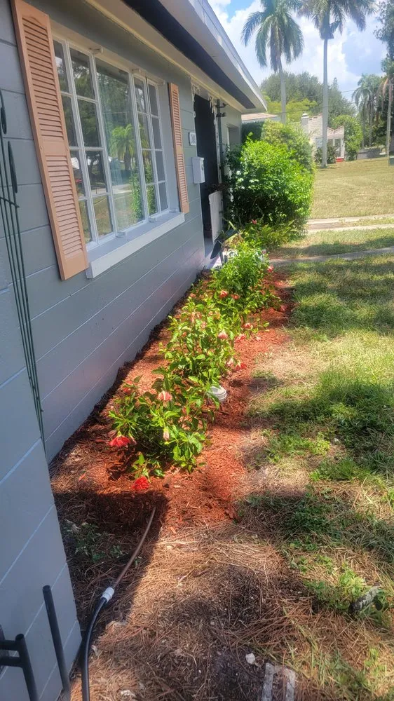 Top-rated yard cleanup service for residential properties in Bradenton, FL by Brown,s Lawns & Landscaping