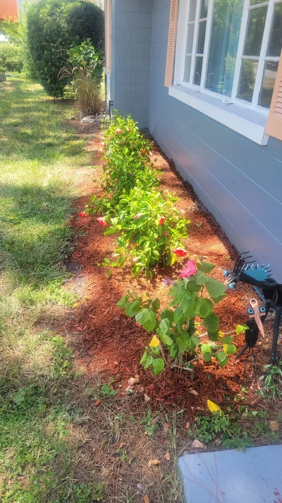 Expert lawn mowing service near you across Bradenton, FL - Brown,s Lawns & Landscaping