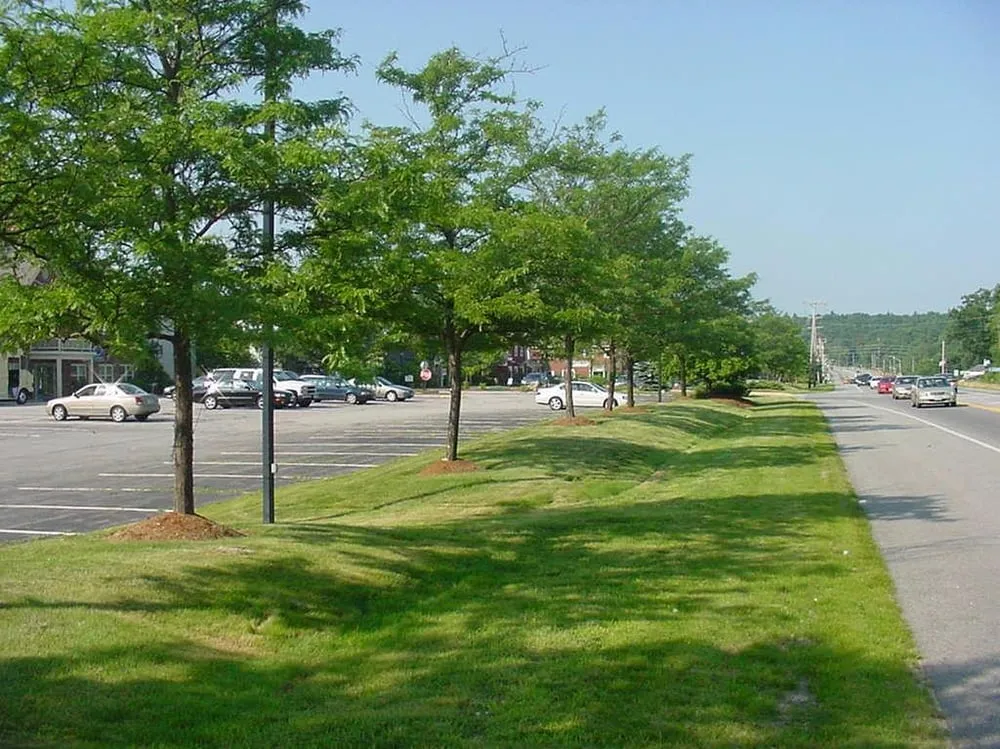 Trusted yard maintenance for outdoor upgrades across Bradenton, FL - Brown,s Lawns & Landscaping