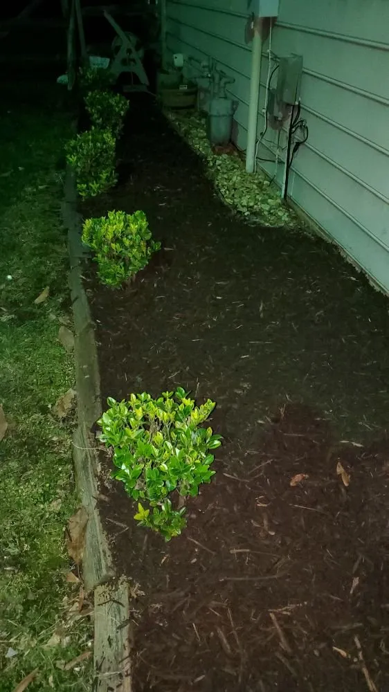 Reliable landscaping services for residential properties across China Grove, NC - BROWNS PROPERTY MANAGEMENT