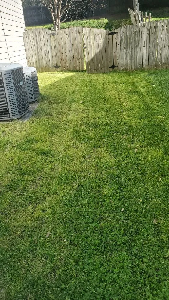 Expert residential landscaping in China Grove, NC by BROWNS PROPERTY MANAGEMENT