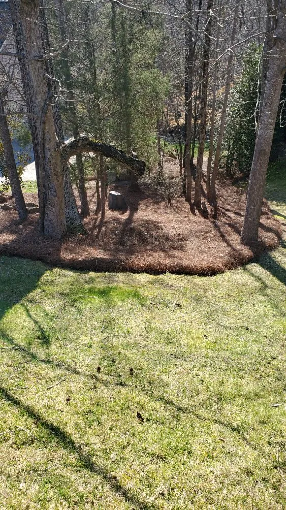 Trusted yard maintenance with custom design across China Grove, NC - BROWNS PROPERTY MANAGEMENT