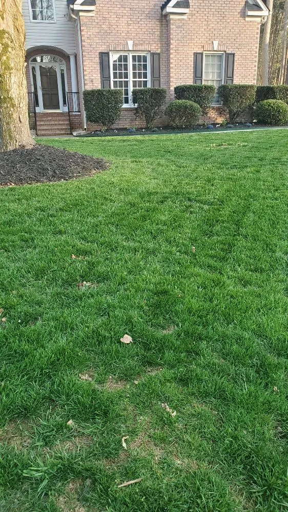 Local landscaping services for outdoor upgrades in China Grove, NC by BROWNS PROPERTY MANAGEMENT