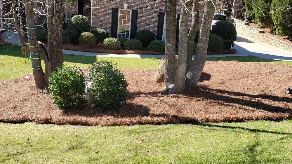 Custom landscaping services for beautiful yards in China Grove, NC by BROWNS PROPERTY MANAGEMENT