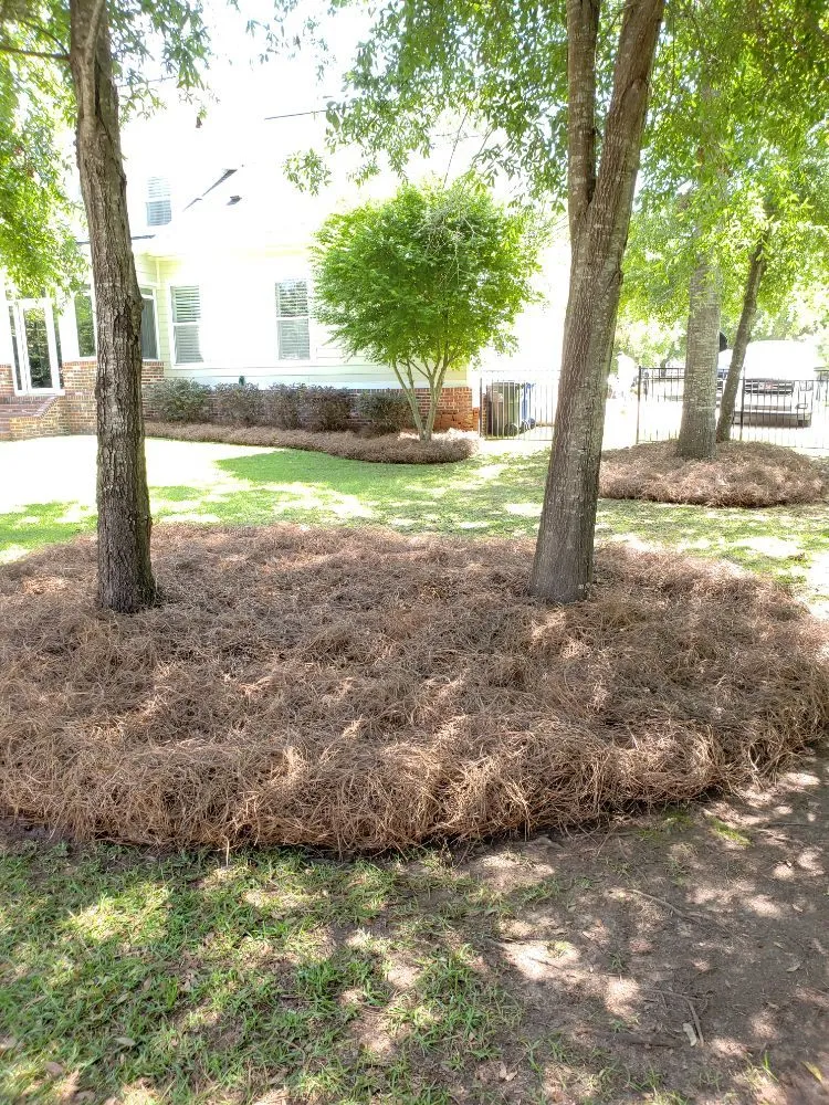 Top-rated lawn care service experts serving Midland City, AL - Brown's ProScape