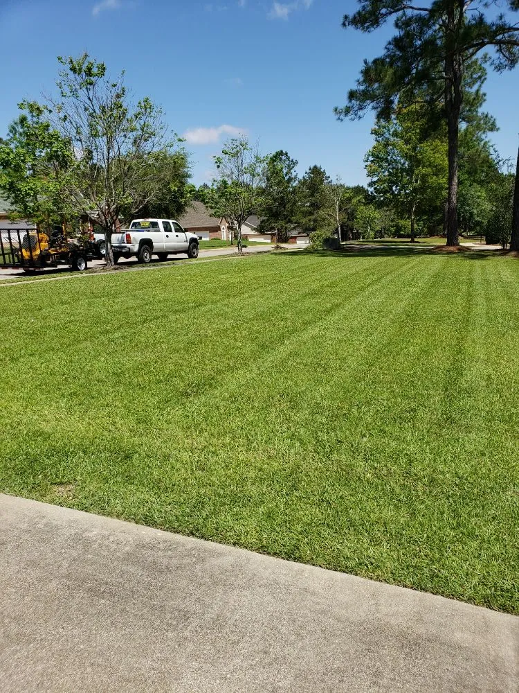 Affordable residential landscaping in Midland City, AL - Brown's ProScape