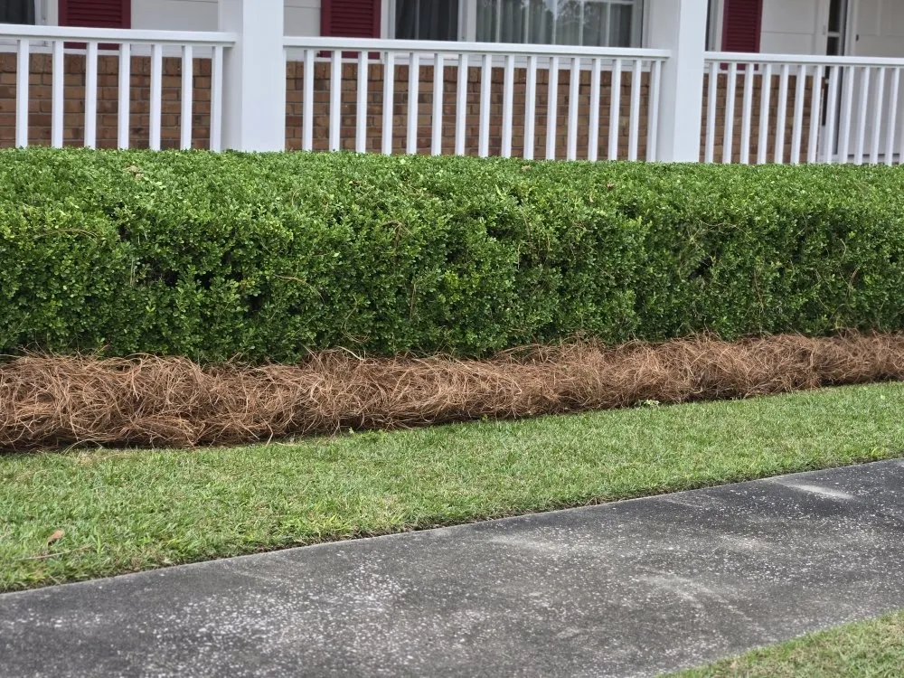 Professional residential landscaping near you across Valdosta, GA - Brown's Quality Lawn Care