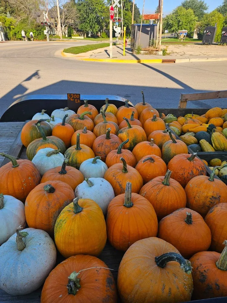 Local outdoor landscaping for outdoor upgrades across Arlington, WI - Brown’s Services TPL