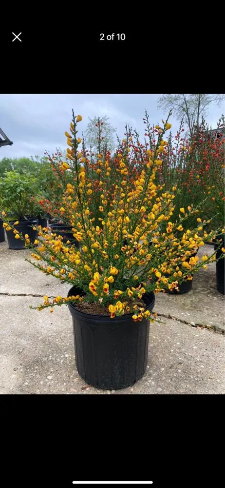 Affordable yard cleanup service in Eagleville, PA - Browns Total Home Solutions