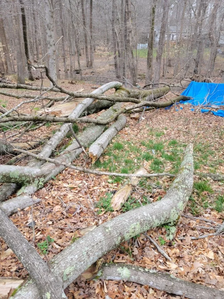 Expert residential landscaping for year-round maintenance across Culpeper, VA - Browns Tree & Landscaping & Home Improvements