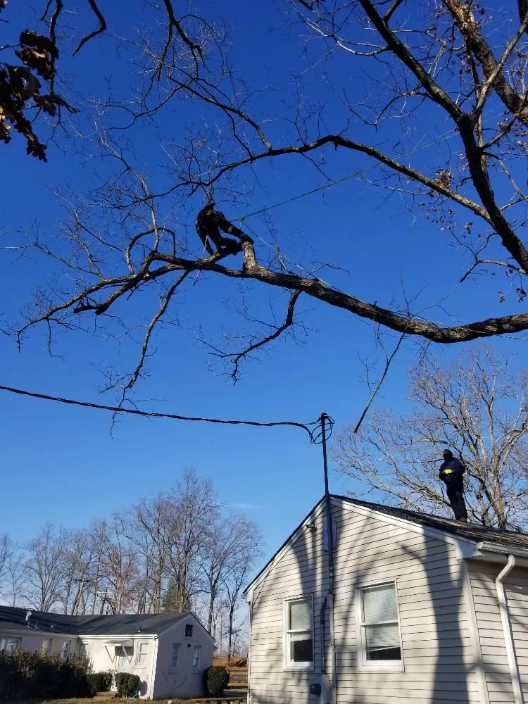 Trusted garden landscaping for beautiful yards across Culpeper, VA - Browns Tree & Landscaping & Home Improvements