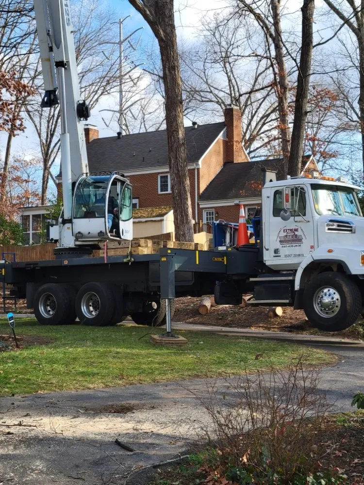 Reliable landscaping services for residential properties in Culpeper, VA by Browns Tree & Landscaping & Home Improvements