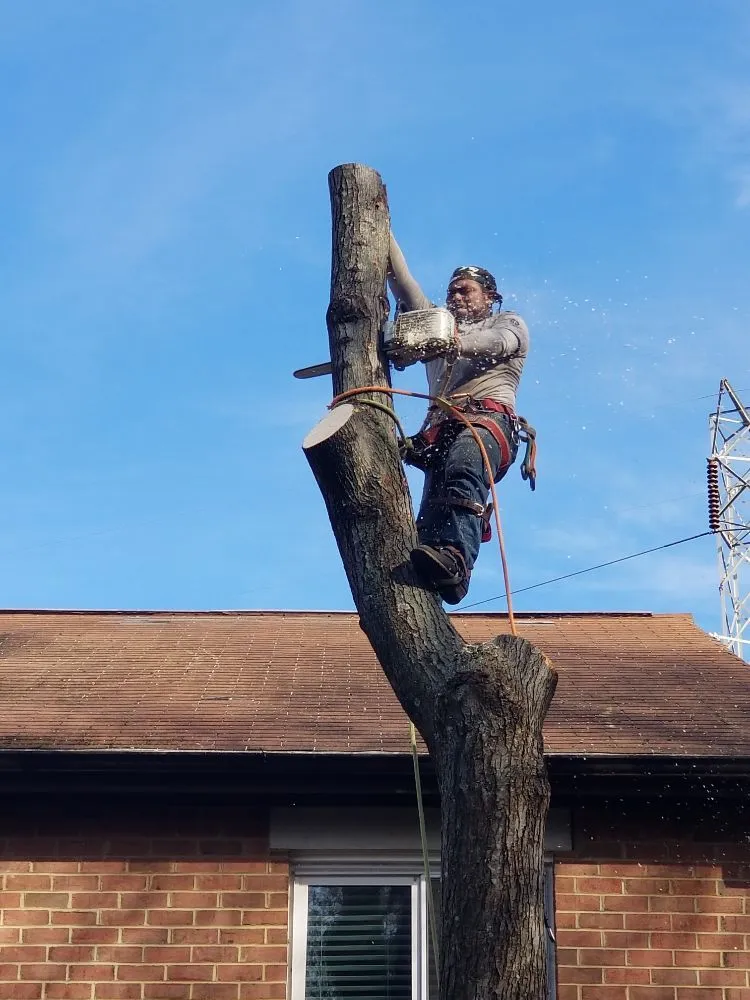 Affordable outdoor landscaping in Culpeper, VA - Browns Tree & Landscaping & Home Improvements